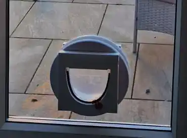 Glass Door Cat Flaps